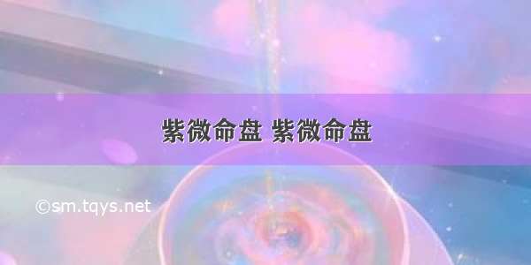 紫微命盘 紫微命盘