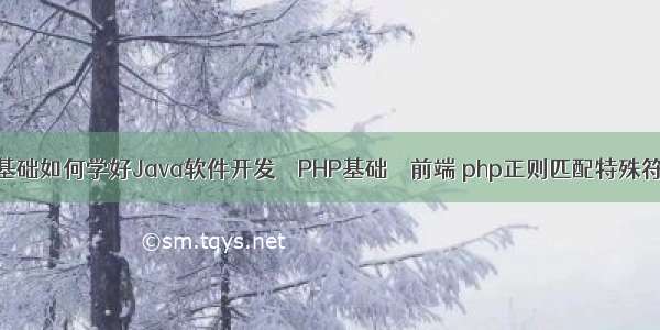 零基础如何学好Java软件开发 – PHP基础 – 前端 php正则匹配特殊符号