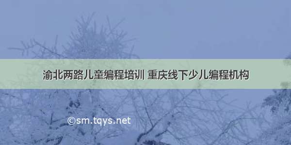 渝北两路儿童编程培训 重庆线下少儿编程机构