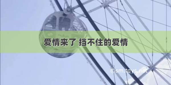 爱情来了 挡不住的爱情