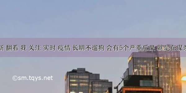 刷新 翻看 我 关注 实时 疫情 长期不遛狗 会有5个严重后果 就是在谋杀它