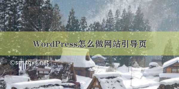 WordPress怎么做网站引导页