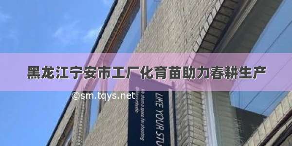 黑龙江宁安市工厂化育苗助力春耕生产