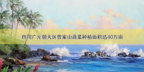四川广元朝天区曾家山蔬菜种植面积达40万亩