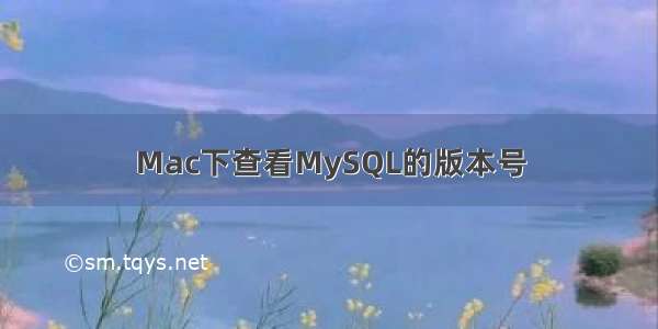 Mac下查看MySQL的版本号