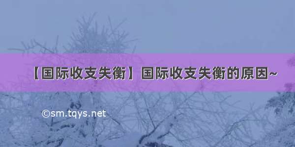 【国际收支失衡】国际收支失衡的原因~