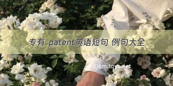 专有 patent英语短句 例句大全