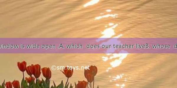 In the room  window is wide open .A. which  does our teacher liveB. whose  does our teache