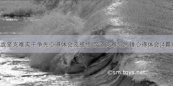 攻坚克难实干争先心得体会及感悟 攻坚克难当先锋心得体会(4篇)