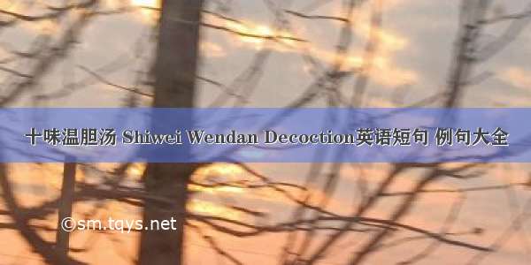 十味温胆汤 Shiwei Wendan Decoction英语短句 例句大全