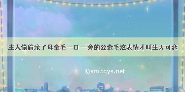 主人偷偷亲了母金毛一口 一旁的公金毛这表情才叫生无可恋