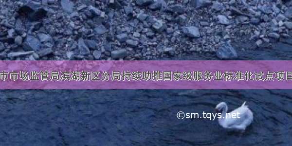 衡水市市场监管局滨湖新区分局持续助推国家级服务业标准化试点项目建设