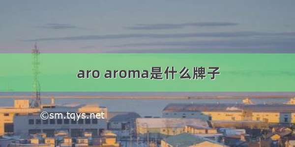 aro aroma是什么牌子