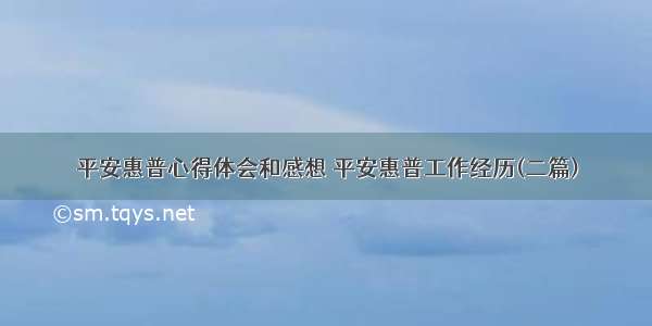 平安惠普心得体会和感想 平安惠普工作经历(二篇)