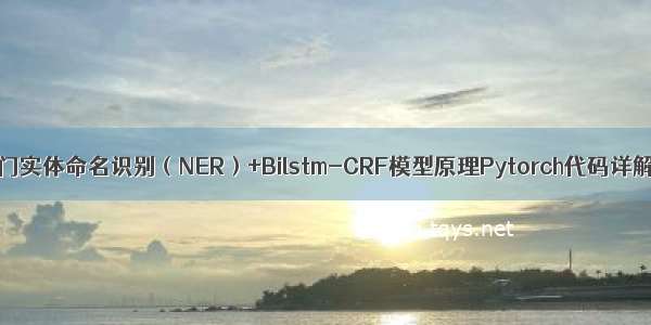 【NER】NLP-入门实体命名识别（NER）+Bilstm-CRF模型原理Pytorch代码详解——最全攻略...