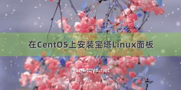在CentOS上安装宝塔Linux面板