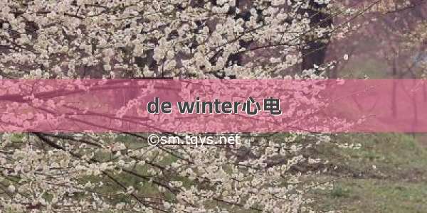 de winter心电