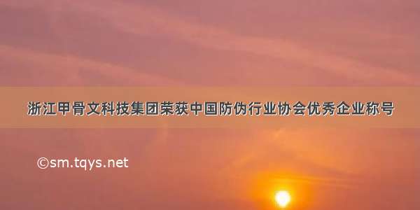 浙江甲骨文科技集团荣获中国防伪行业协会优秀企业称号