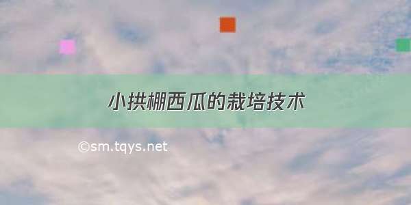 小拱棚西瓜的栽培技术