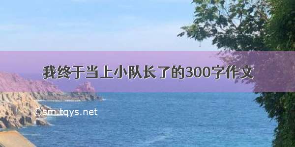 我终于当上小队长了的300字作文