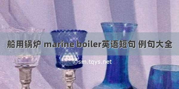 船用锅炉 marine boiler英语短句 例句大全