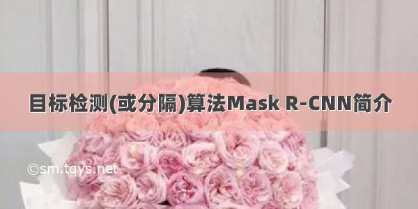 目标检测(或分隔)算法Mask R-CNN简介