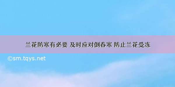 兰花防寒有必要 及时应对倒春寒 防止兰花受冻