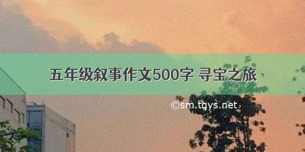 五年级叙事作文500字 寻宝之旅