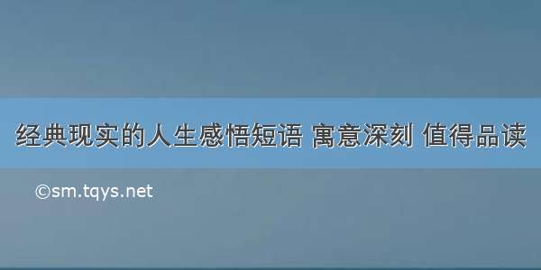 经典现实的人生感悟短语 寓意深刻 值得品读