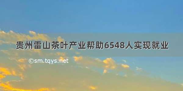 贵州雷山茶叶产业帮助6548人实现就业