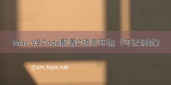 Mac VSCode配置C语言环境（可以调试）