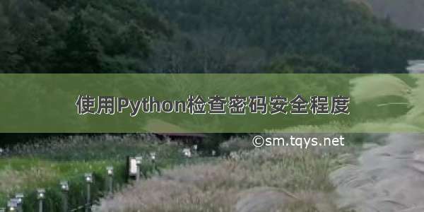 使用Python检查密码安全程度