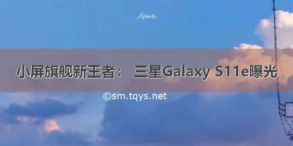 小屏旗舰新王者： 三星Galaxy S11e曝光