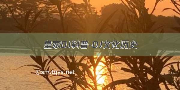 皇家DJ科普-DJ文化历史