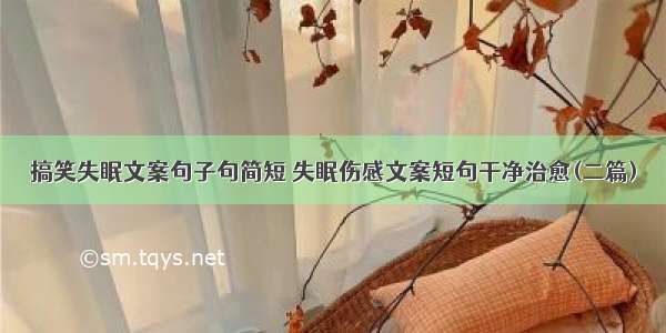 搞笑失眠文案句子句简短 失眠伤感文案短句干净治愈(二篇)