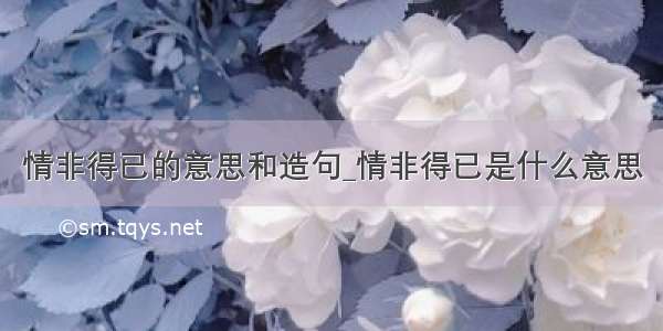 情非得已的意思和造句_情非得已是什么意思