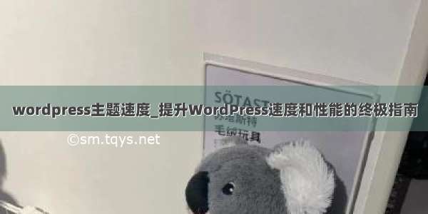 wordpress主题速度_提升WordPress速度和性能的终极指南