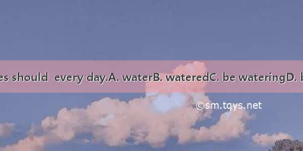 Young trees should  every day.A. waterB. wateredC. be wateringD. be watered
