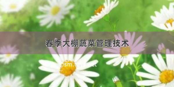 春季大棚蔬菜管理技术