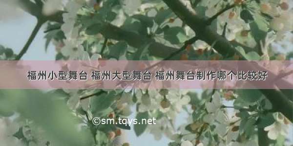 福州小型舞台 福州大型舞台 福州舞台制作哪个比较好