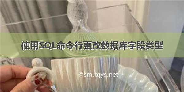 使用SQL命令行更改数据库字段类型