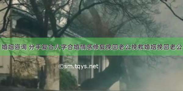 婚姻咨询 分手复合八字合婚情感修复挽回老公挽救婚姻挽回老公