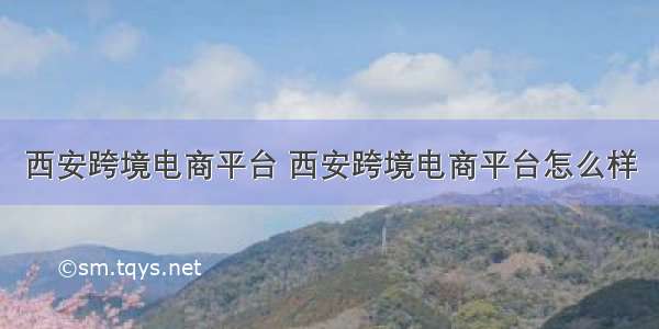 西安跨境电商平台 西安跨境电商平台怎么样