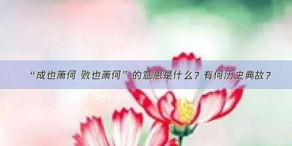 “成也萧何 败也萧何”的意思是什么？有何历史典故？