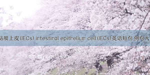 肠粘膜上皮(IECs) intestinal epithelium cell(IECs)英语短句 例句大全