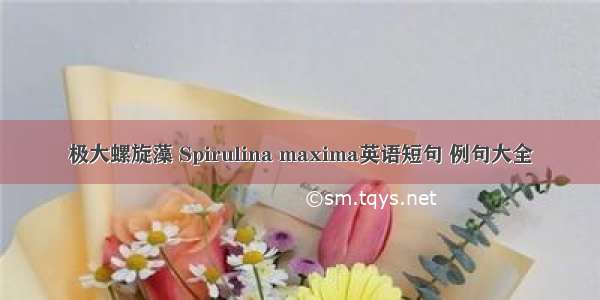 极大螺旋藻 Spirulina maxima英语短句 例句大全