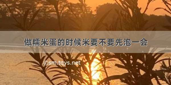 做糯米蛋的时候米要不要先泡一会