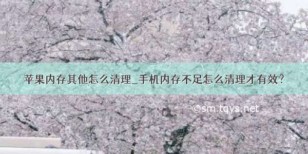 苹果内存其他怎么清理_手机内存不足怎么清理才有效？