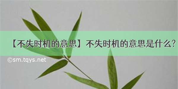 【不失时机的意思】不失时机的意思是什么?