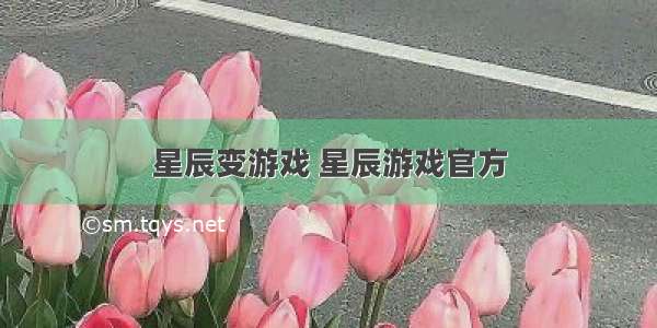 星辰变游戏 星辰游戏官方